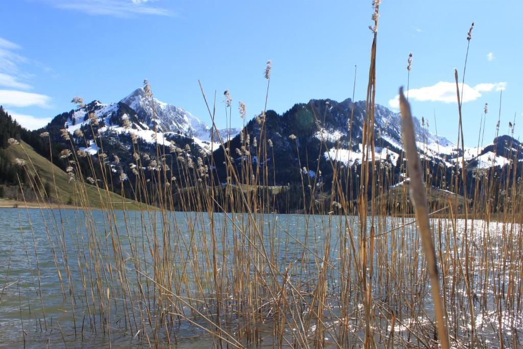 Hostellerie Am Schwarzsee Bad-Schwarzsee Bagian luar foto